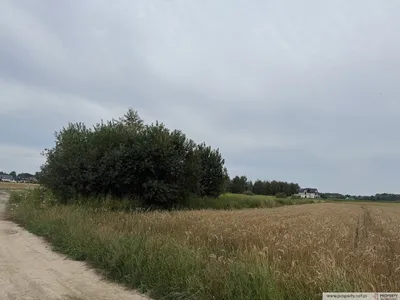 Zdjęcie nieruchomości 3