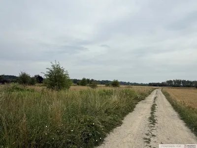 Zdjęcie nieruchomości 4
