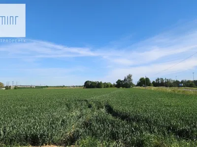 Zdjęcie nieruchomości 5
