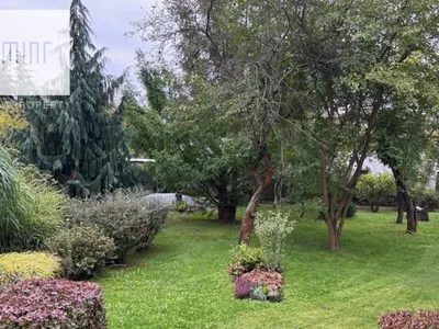 Zdjęcie nieruchomości 4