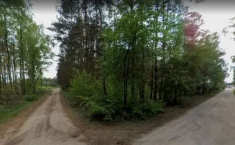 Zdjęcie nieruchomości 3