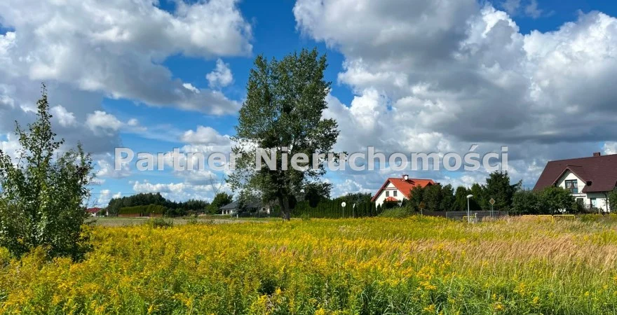 Zdjęcie nieruchomości 1